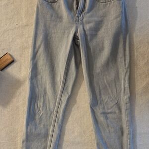 Everlane Light Gray Women's Skinny Jeans